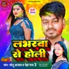 About Labharva Se Holi Song